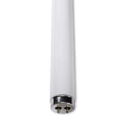ILC Replacement For LIGHT BULB  LAMP F20T12BL WW-31QV-9